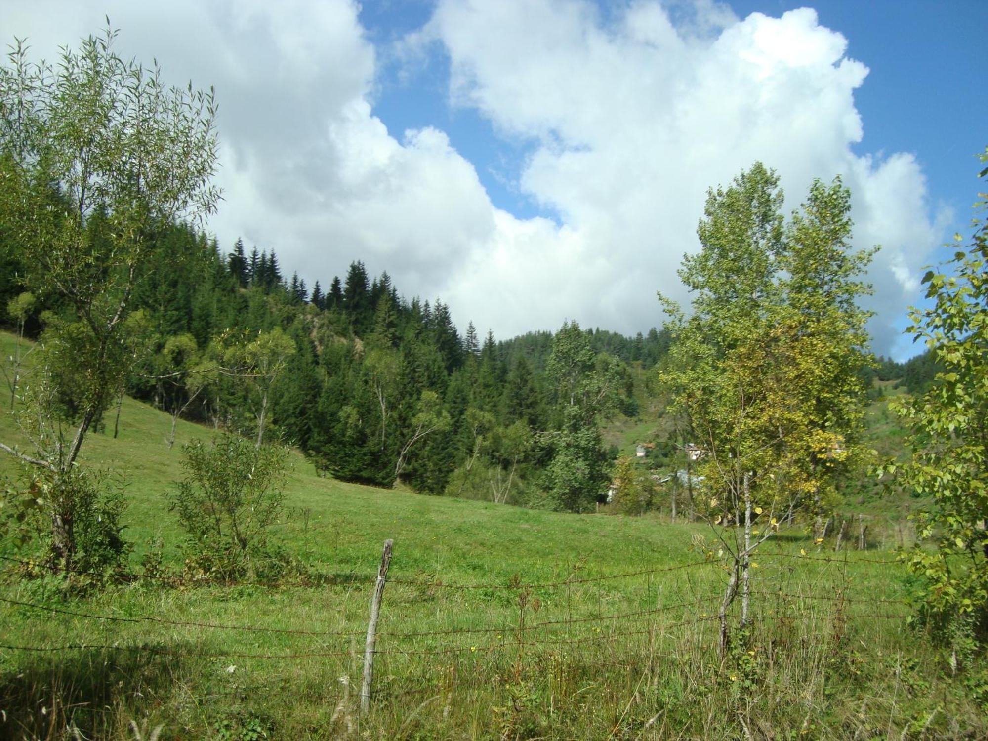 Kuma Lissa Guest House Kozhari Zewnętrze zdjęcie